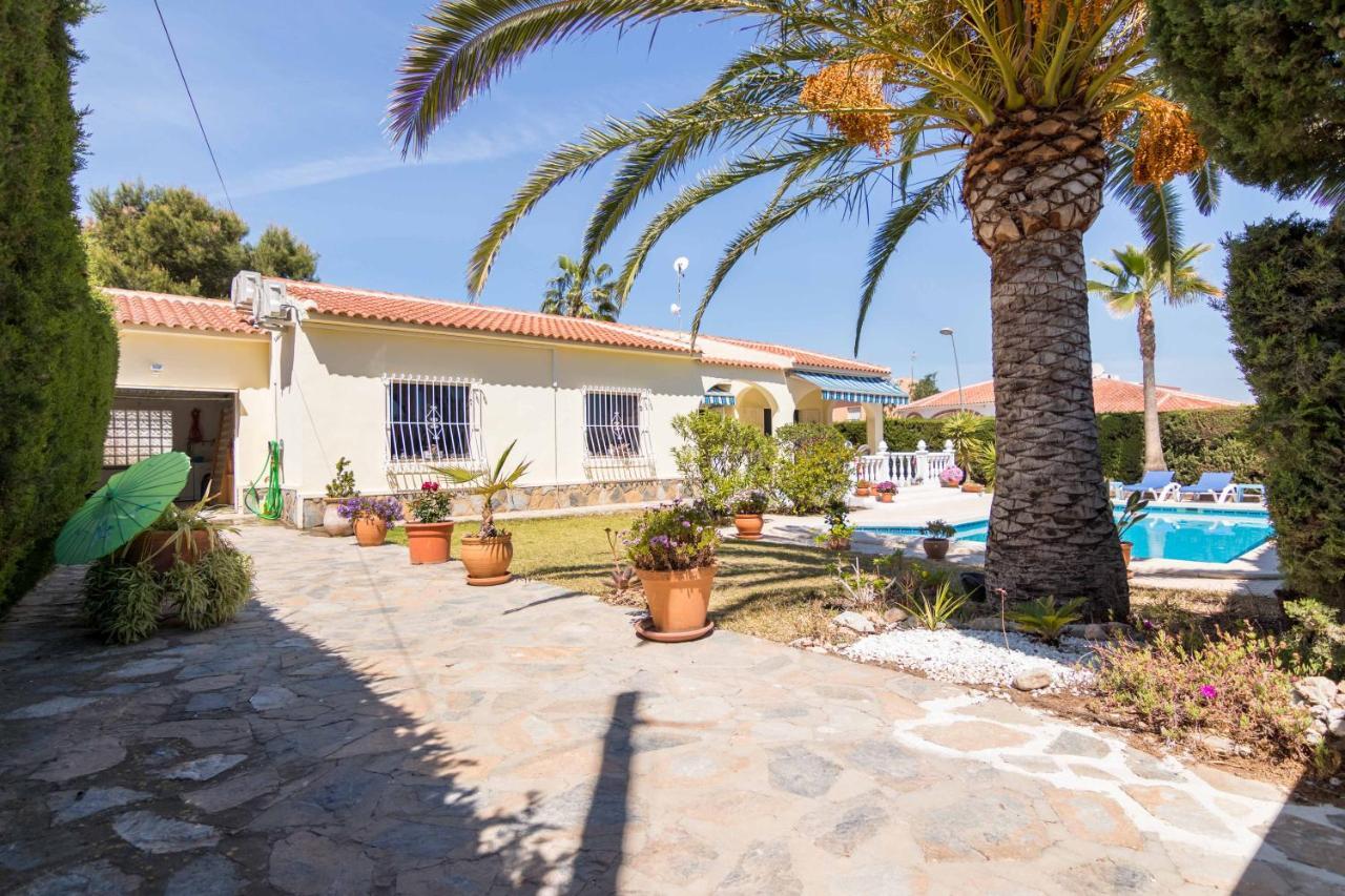 Charming One-Floor Villa With Private Pool In Los Balcones Torrevieja Exterior photo